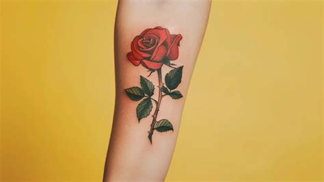 tudor rose tattoo meaning|meaning of rose tattoos.